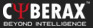 Cyberax Tech Pvt. Ltd. - Web Designing & Programming, Web Hosting & SEO